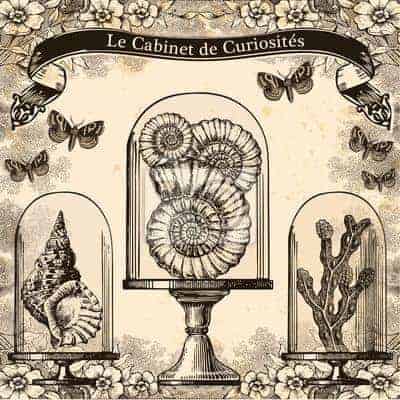Visuel de la salle Le cabinet de curiosités – escape yourself la rochelle, à La Rochelle