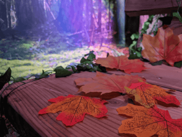 Planche de bois couverte de feuilles orange et de lierre dans une lumière violette, salle Aventure en forêt chez La Boîte à CL-é