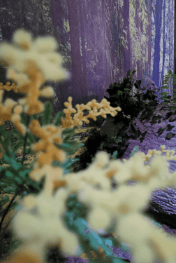 Fleurs jaunes et blanches floues devant un décor de forêt violet, salle Aventure en forêt à Sainte-Gemme-la-Plaine