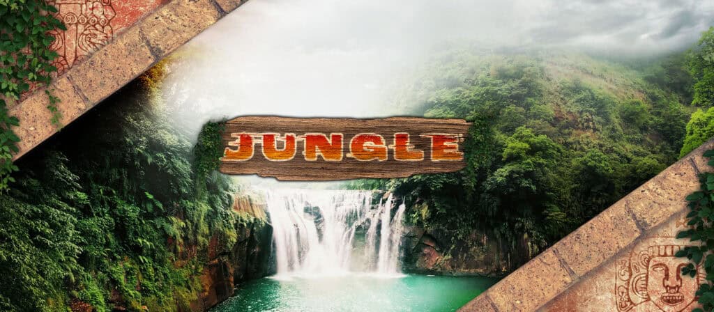 Jungle, chez Chambre 237