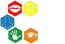 Logo Cinsens : cinq hexagones colorés avec une bouche, une oreille, un nez, une main et un œil, Aurillac