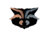Logo de Cyber Raccoon, escape game à Navigation