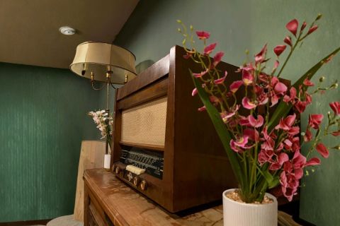 Poste de radio ancien en bois et orchidées roses devant un mur vert, salle La Gazette d'Albert