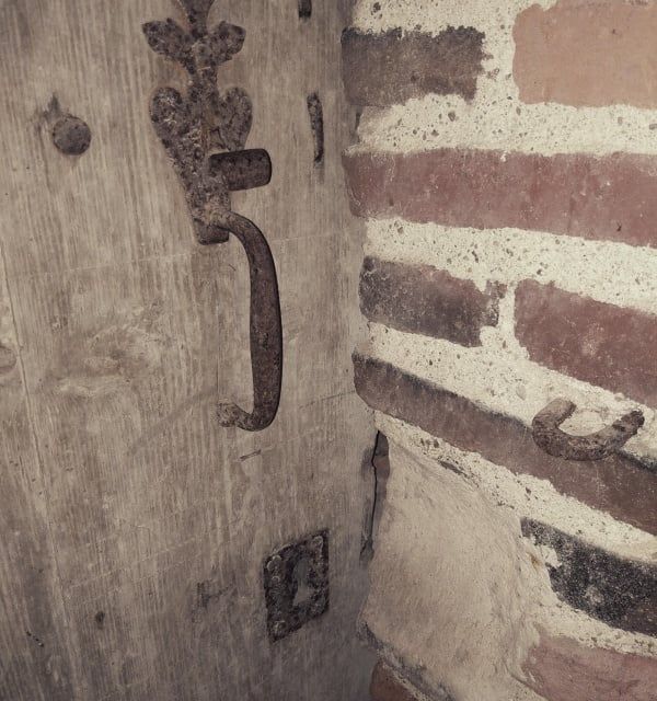 Le Cabinet de l’illustre jardinier, photo 1