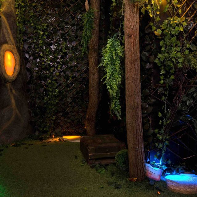 Décor forestier souterrain avec éclairages colorés, yeux lumineux et végétation envahissante chez Le Défi des Ducs à Dijon