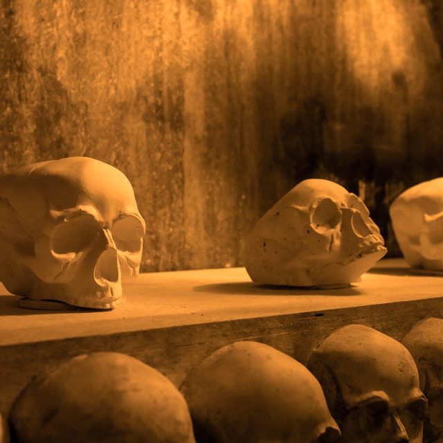 Crânes en plâtre disposés sur des étagères dans une atmosphère souterraine chez Prizoners à Paris