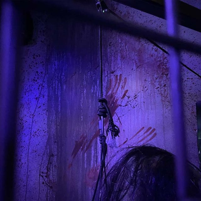 Walking Dead – Team Break, photo 3