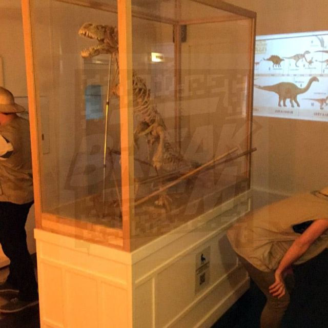 Deux enfants explorent une salle à thème dinosaures avec vitrines de fossiles et écrans didactiques