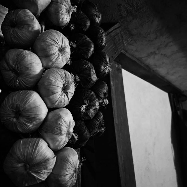 Gousses d'ail ou bulbes noirs suspendus près d'un cadre, photo en noir et blanc, salle La taverne de Malobid