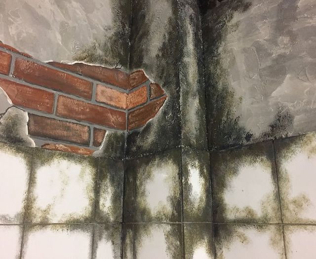 Vivre ou mourir, photo 1