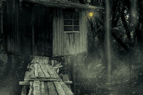 Cabane sur pilotis dans un marais brumeux, salle Les disparus de Louisiane à Crolles