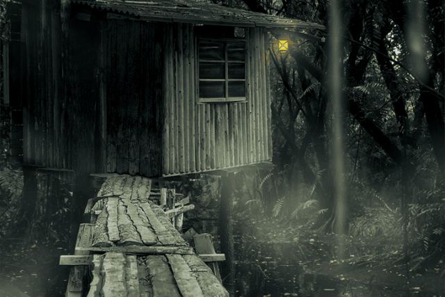 Cabane sur pilotis dans un marais brumeux, salle Les disparus de Louisiane à Crolles