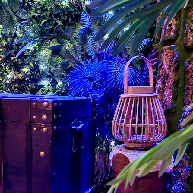 Décor de jungle éclairé en bleu et violet avec lanterne et malle, salle Pandora chez Move To Aixit à Aix-en-Provence