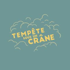 Logo Tempête sous un crâne en lettres jaunes entourées de nuages sur fond vert-gris, escape game à Paris