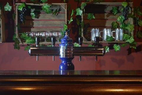 Comptoir de bar aux tireuses surmonté de lierre et de grappes, salle Panique au bar chez Zone 53 à Laval