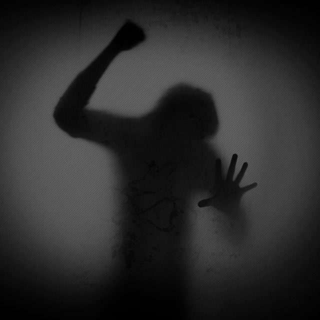 Brainscape Amiens, photo 4