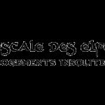 Logo de L'Escale des Elfes, escape game à Saint-Évarzec