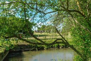 Le secret de madame Irma