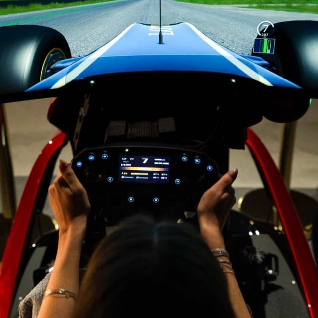 Mains sur le volant d'un simulateur de course automobile, Juma à Mougins