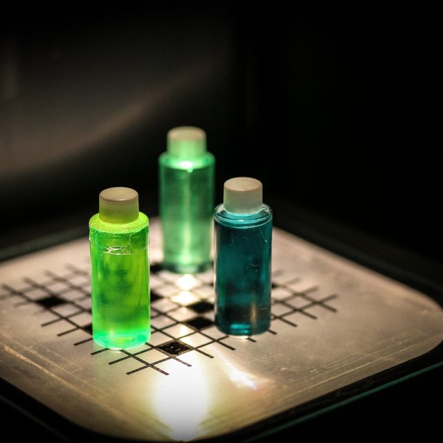 Virus, photo 3