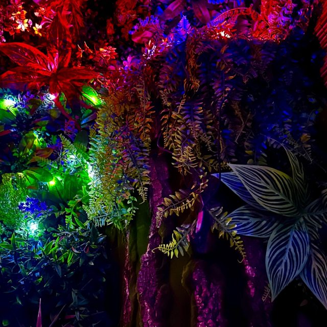 Feuillages exotiques éclairés en rouge, violet et vert fluo, salle Pandora chez Move To Aixit à Aix-en-Provence