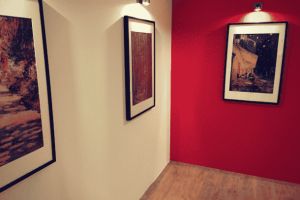 LE BRAQUAGE DU MUSEE