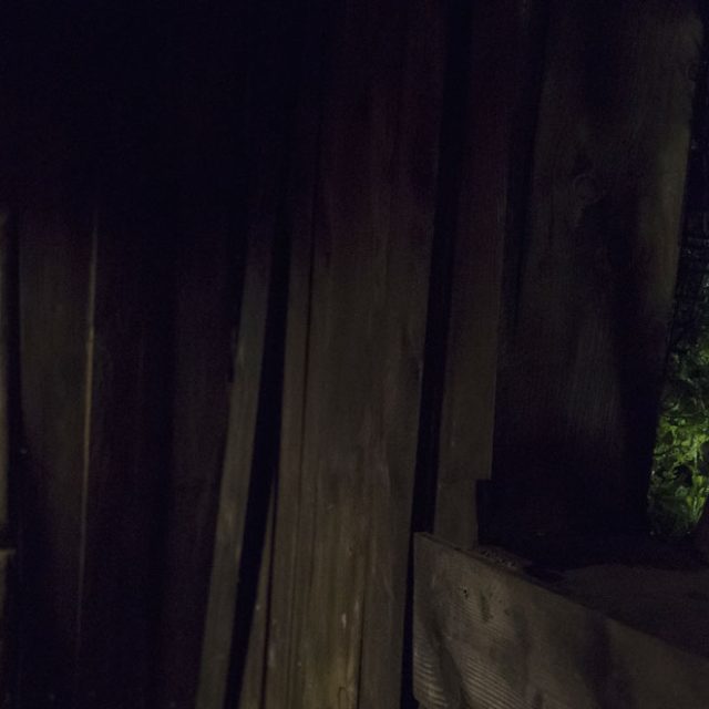 Corde nouée contre une paroi en planches, feuillage visible par une ouverture, salle Projet Omega à Saint-Herblain