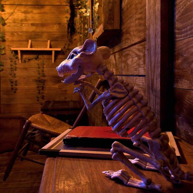 Squelette animé manipulant des objets dans un décor de bois vieilli chez Le Défi des Ducs à Dijon
