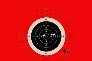 DOMINATION: IN god we trust