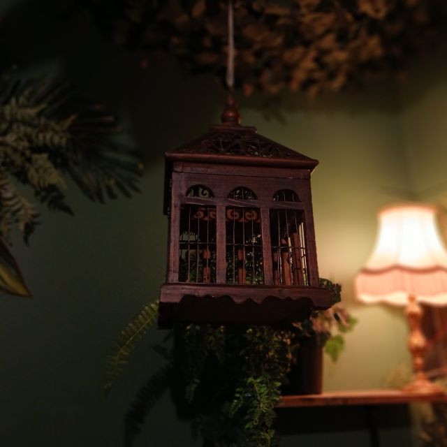 Cage à oiseaux suspendue près d'une lampe à abat-jour, La Malle de la Serre Royale