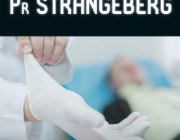 LES EXPÉRIENCES DU PROFESSEUR STRANGEBERG
