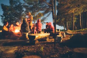 Le secret de la forêt