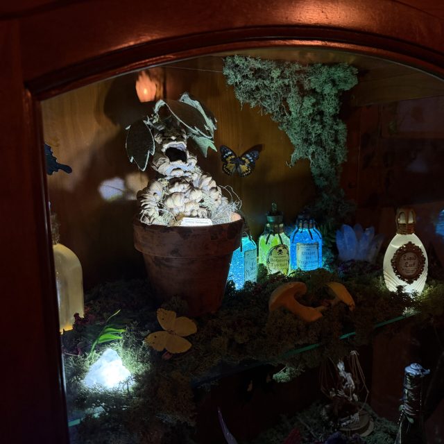 Excalibur, photo 2