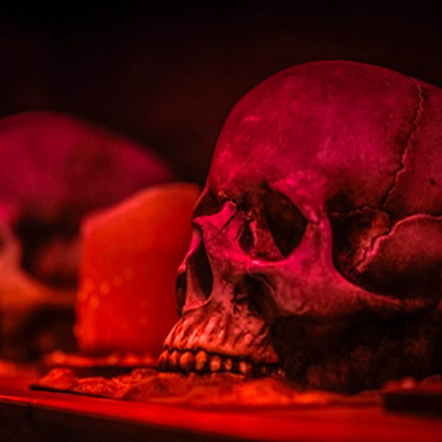 Crânes humains éclairés de rouge posés sur une étagère, salle Le manoir sinistre chez Freeing à Saint-Maximin