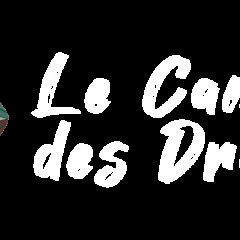 Logo de Le Camp des Dryades, escape game à Châtel-Montagne, feuilles stylisées en dégradé de couleurs automnales