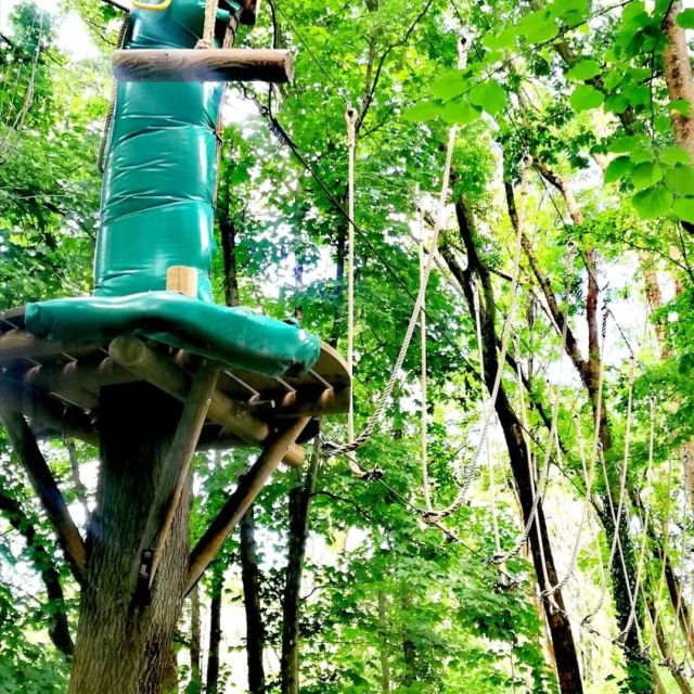 Plateforme d'accrobranche verte en haut d'un arbre, parc Vanciaventure