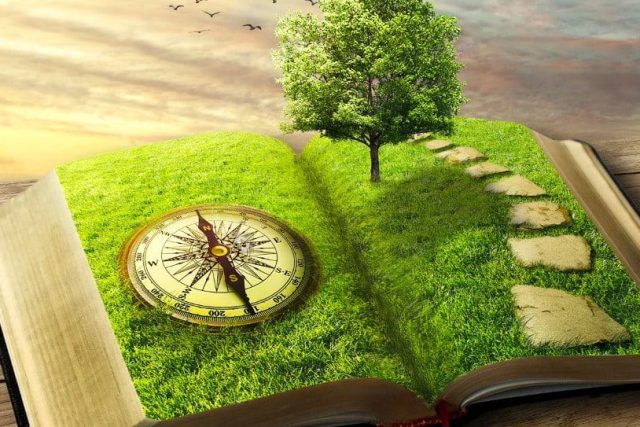 Livre ouvert d'où jaillit une prairie avec un arbre, un chemin de pierres et une boussole, salle Le rêve chez Crazy Rooms