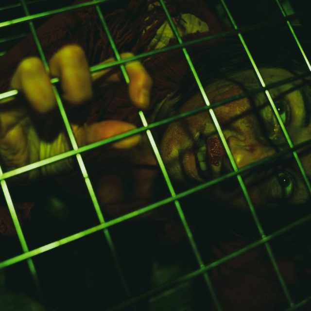 La traque, photo 3
