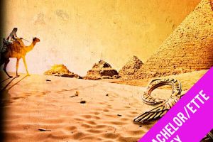 Pharaoh’s Curse