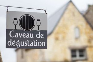 Les seigneurs de Bois-Mozé – Domaine de Bois-Mozé