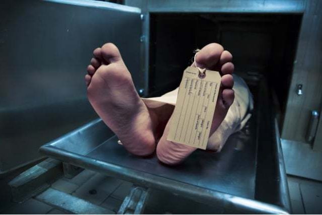 LA MORGUE. – MAZE CORPORATION