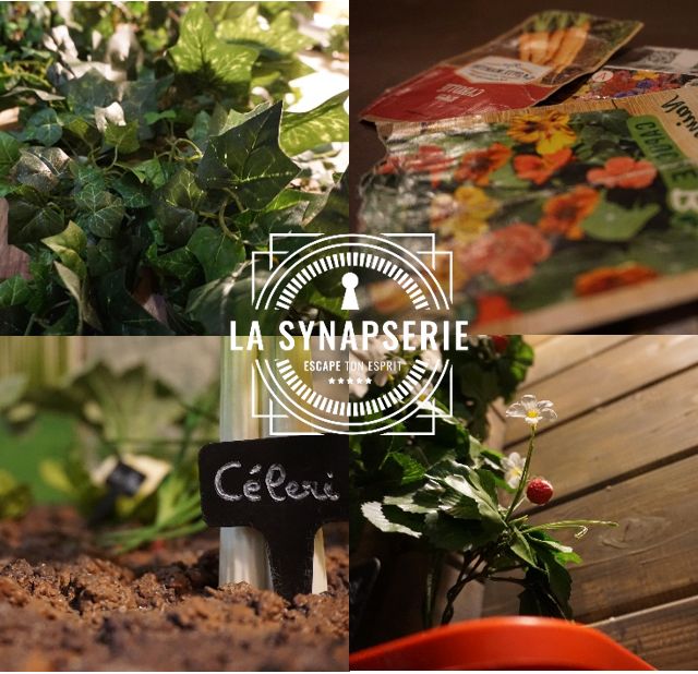 Logo de La Synapserie, escape game à Riom, avec plantes et graines en décor