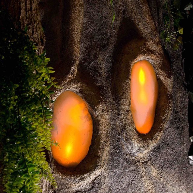 Deux yeux lumineux orange gravés dans le tronc d'un arbre à Magie noire
