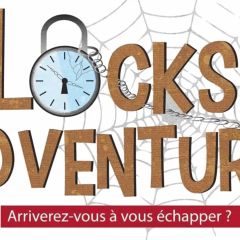 Logo de Locks Adventure à Schweighouse-sur-Moder : cadenas à horloge, toile d'araignée et lettres brunes