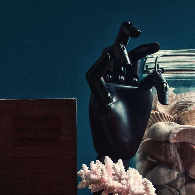 Le cabinet de curiosités – Escape Yourself, photo 1
