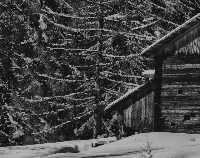 Cabane de montagne sous la neige entre des arbres chargés de givre, salle La mine d'or de Jo, Tiny Room