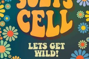 Suzys cell