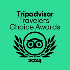 Logo de Leave in Time, escape game à Nantes, avec lauriers et owl Tripadvisor 2024