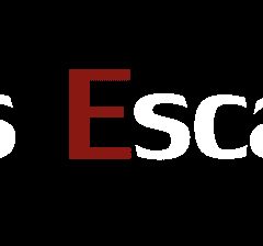 Logo de Madness Escape, escape game à Pau