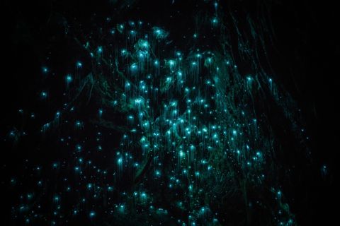 Nuée de points lumineux turquoise dans une grotte noire, salle L'île maudite chez Nant'escape à Nantes